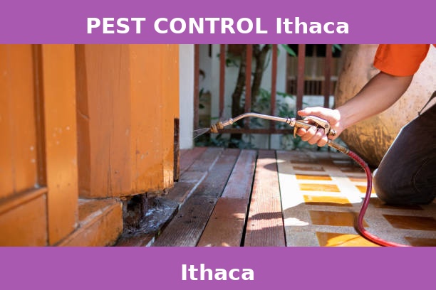 PEST CONTROL Ithaca